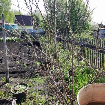 Продается Участок, 400 м²