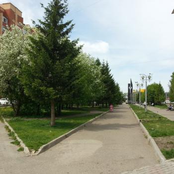 Сдается Нежилое помещение, 42 м²