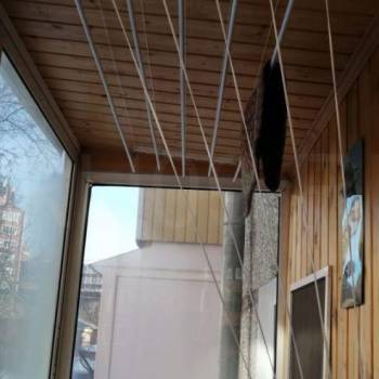 Сдается 2-х комнатная квартира, 36 м²