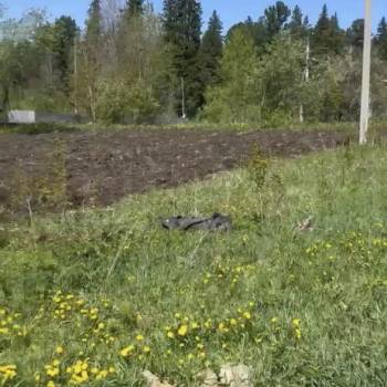 Продается Участок, 1000 м²