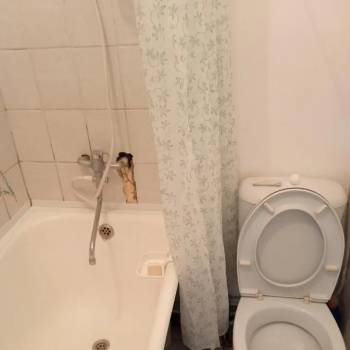 Сдается 1-комнатная квартира, 14 м²