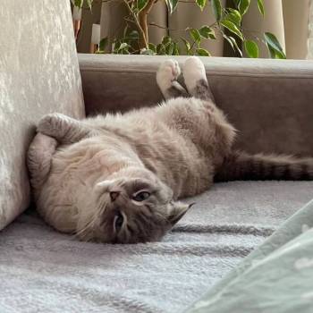 Продается 1-комнатная квартира, 39 м²