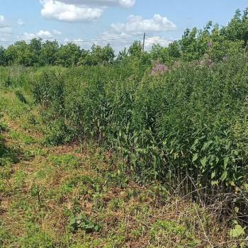 Продается Участок, 1440 м²