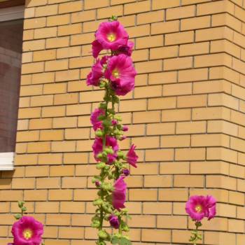 Продается Многокомнатная квартира, 94,4 м²