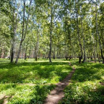 Продается 3-х комнатная квартира, 75,8 м²