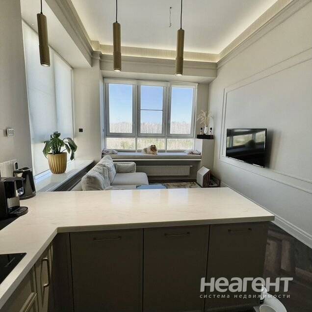 Фотография №3