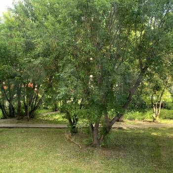 Продается 3-х комнатная квартира, 67 м²