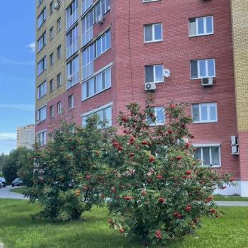 Продается 2-х комнатная квартира, 80,3 м²