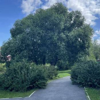 Продается 2-х комнатная квартира, 80,3 м²