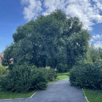 Продается 2-х комнатная квартира, 80,3 м²