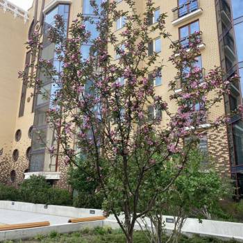 Продается 2-х комнатная квартира, 116 м²