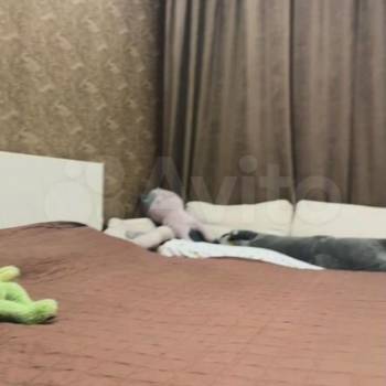 Продается Дом, 105 м²