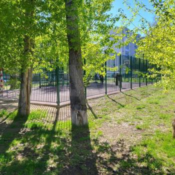 Продается 1-комнатная квартира, 24,4 м²