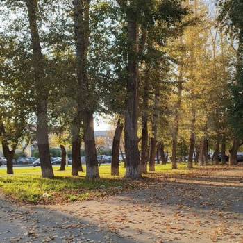 Продается 1-комнатная квартира, 21 м²