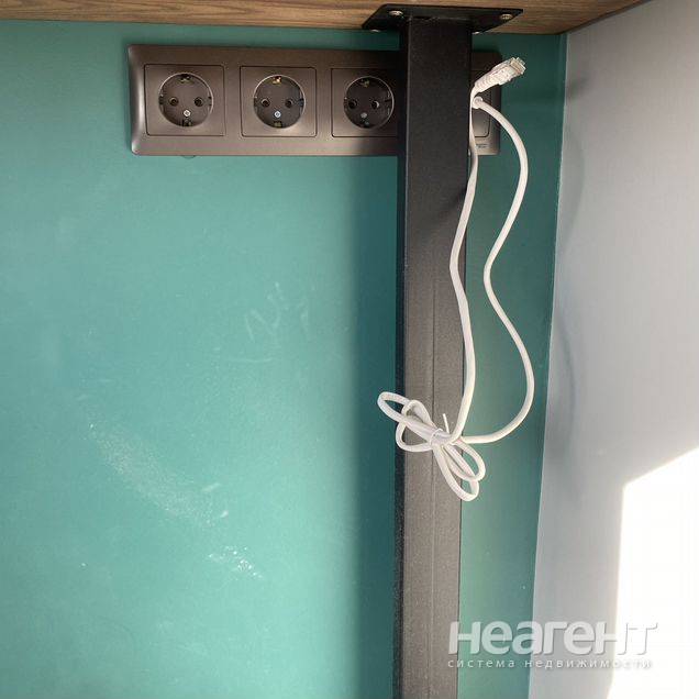 Фотография №5