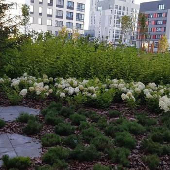 Продается 1-комнатная квартира, 35 м²