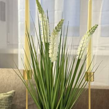 Сдается 1-комнатная квартира, 50 м²