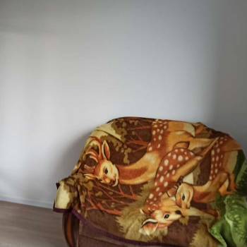 Сдается 2-х комнатная квартира, 50 м²