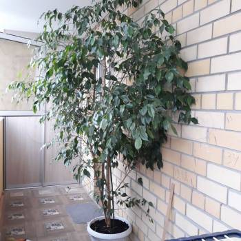 Продается 1-комнатная квартира, 40,7 м²