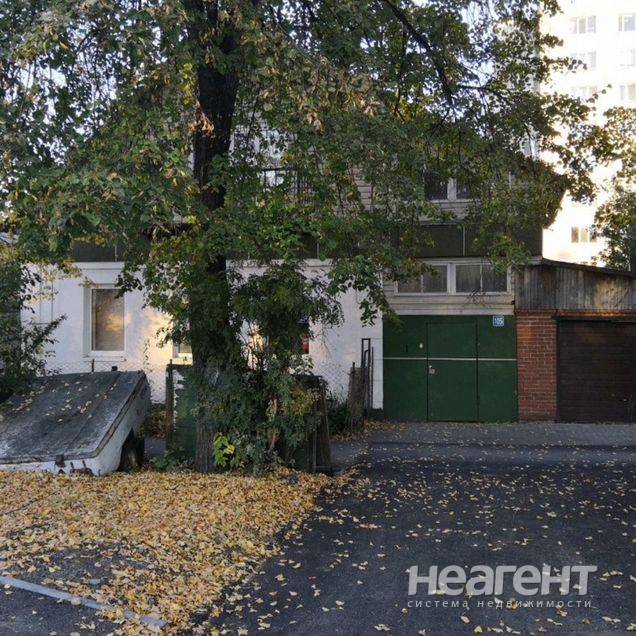 Фотография №2