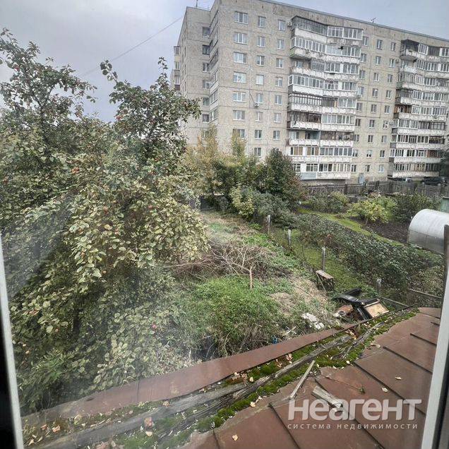 Фотография №4