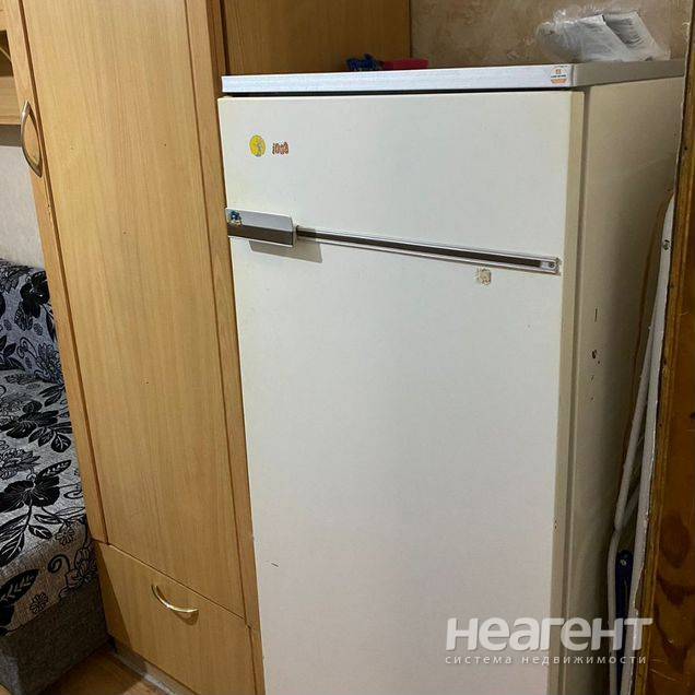 Фотография №5