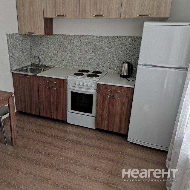 Фотография №5