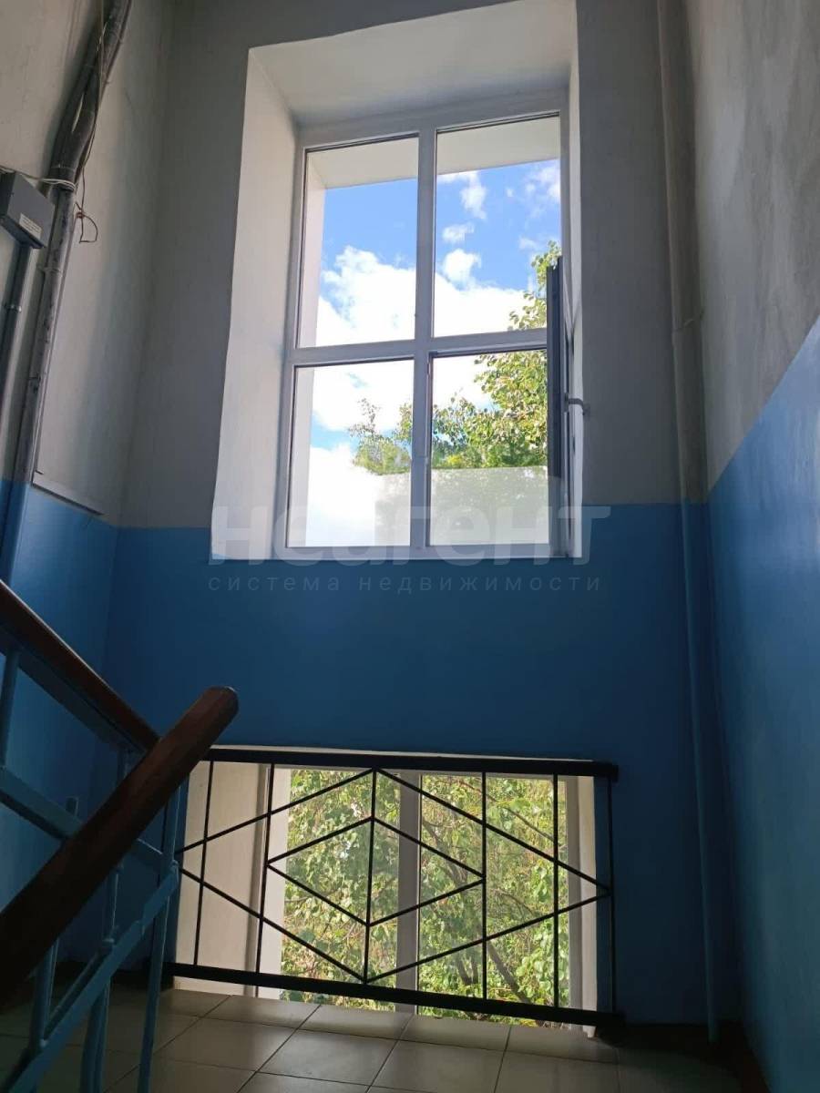 Фотография №10