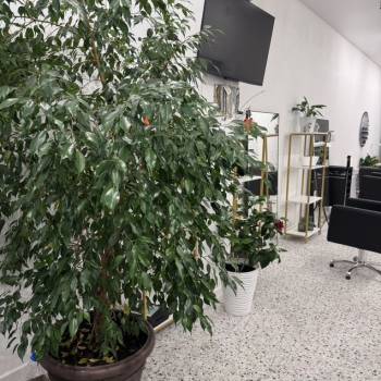 Продается Нежилое помещение, 101 м²