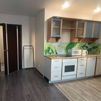 Сдается 1-комнатная квартира, 33,2 м²