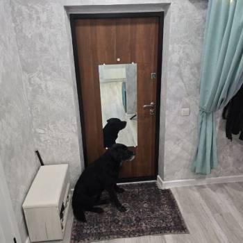 Продается 1-комнатная квартира, 28,4 м²