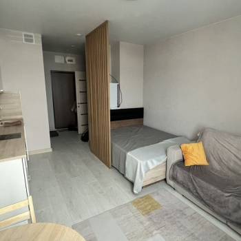 Сдается 1-комнатная квартира, 27,5 м²