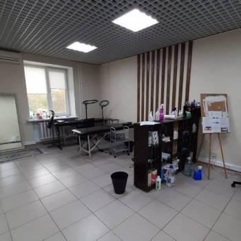 Сдается Нежилое помещение, 38,3 м²