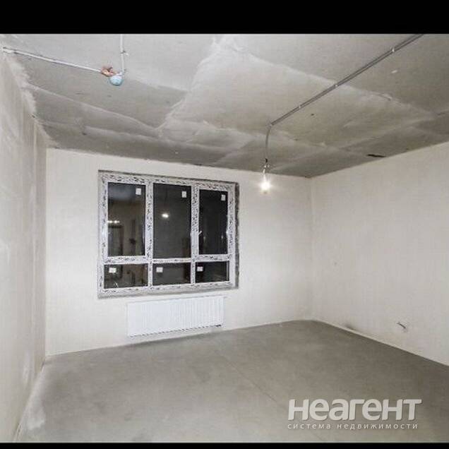 Фотография №3