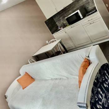 Сдается 1-комнатная квартира, 23,6 м²