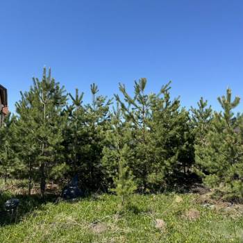 Продается Участок, 1500 м²