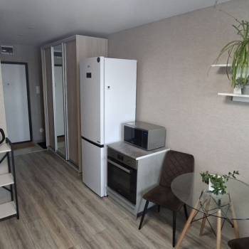 Продается 1-комнатная квартира, 23,5 м²