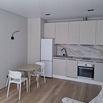 Сдается 1-комнатная квартира, 30,8 м²