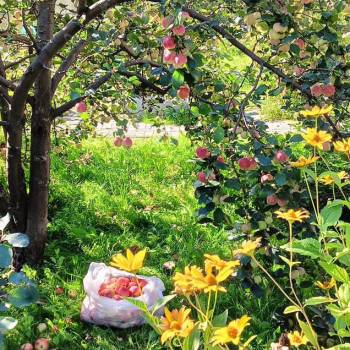 Продается Участок, 620 м²