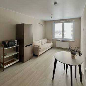 Сдается 1-комнатная квартира, 33,2 м²