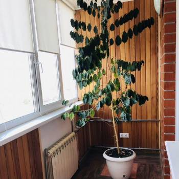 Продается 2-х комнатная квартира, 84 м²