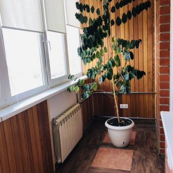 Продается 2-х комнатная квартира, 84 м²