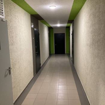 Сдается 1-комнатная квартира, 22,4 м²