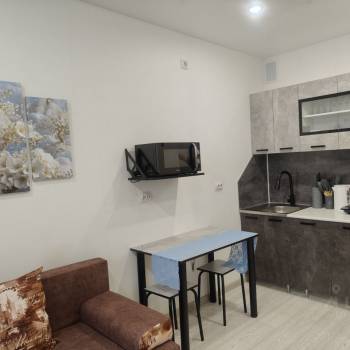 Продается 1-комнатная квартира, 24,4 м²