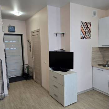 Продается 1-комнатная квартира, 24,4 м²