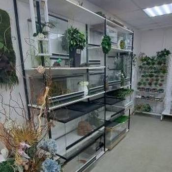 Сдается Нежилое помещение, 35,8 м²