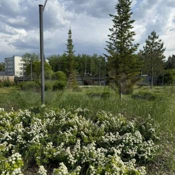 Сдается 1-комнатная квартира, 41 м²