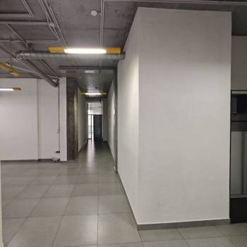 Сдается Нежилое помещение, 240 м²
