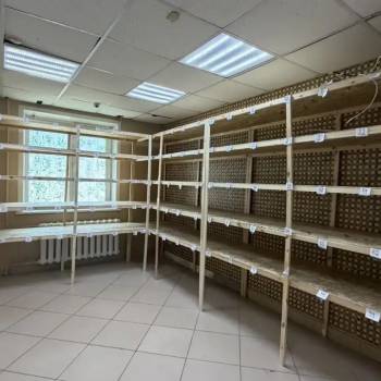 Сдается Нежилое помещение, 65,9 м²