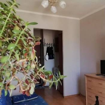 Сдается 1-комнатная квартира, 14 м²